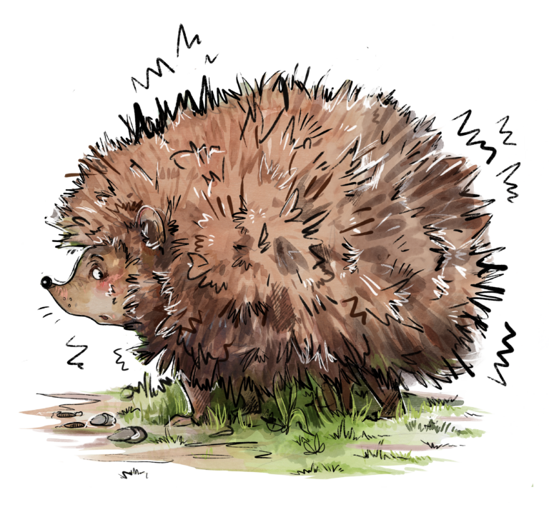 Igel mit vielen Stacheln