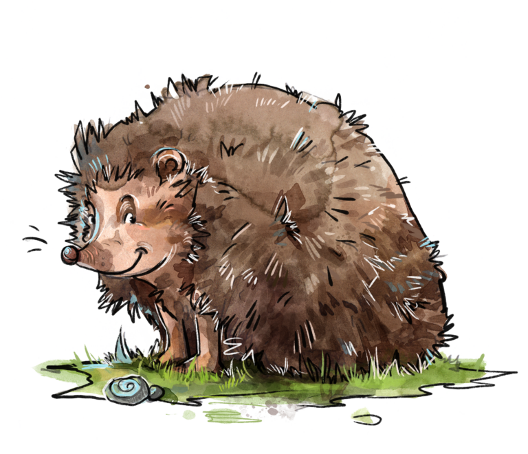 Igel mit keinen Stacheln