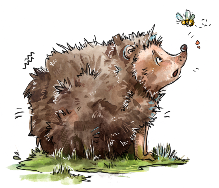 Igel mit ein paar Stacheln